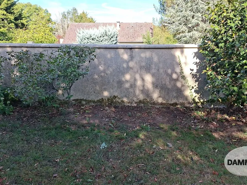 Après : massif débroussaillé, sol nettoyé au pied du mur