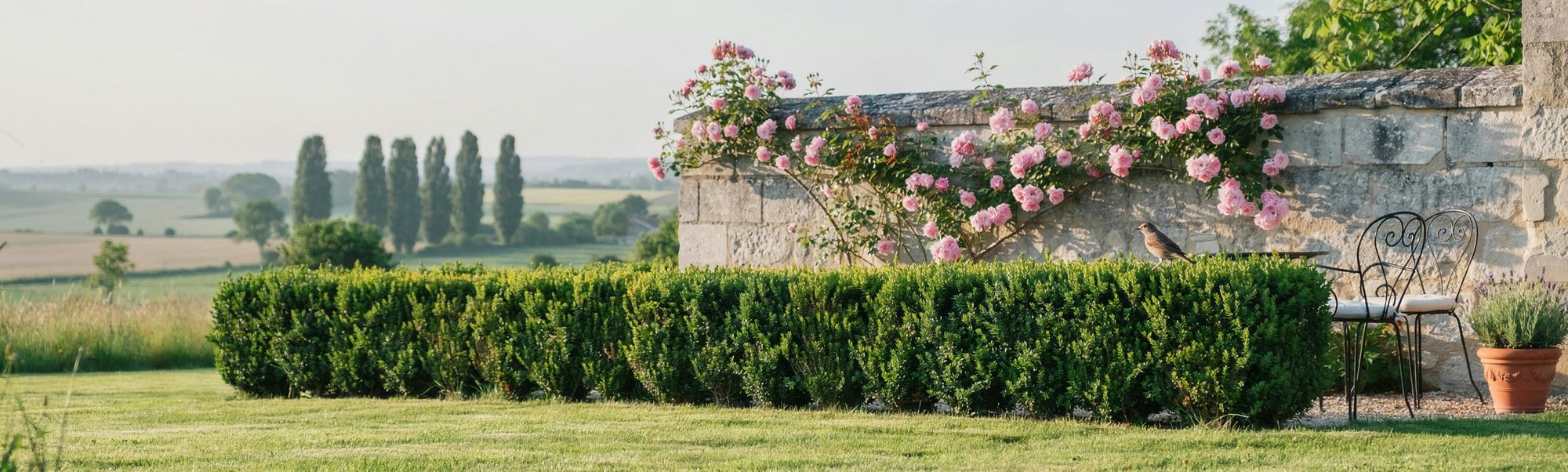 Pelouse soignée et haie taillée d'un jardin de campagne du Gâtinais, entretenu par DAMM Nature