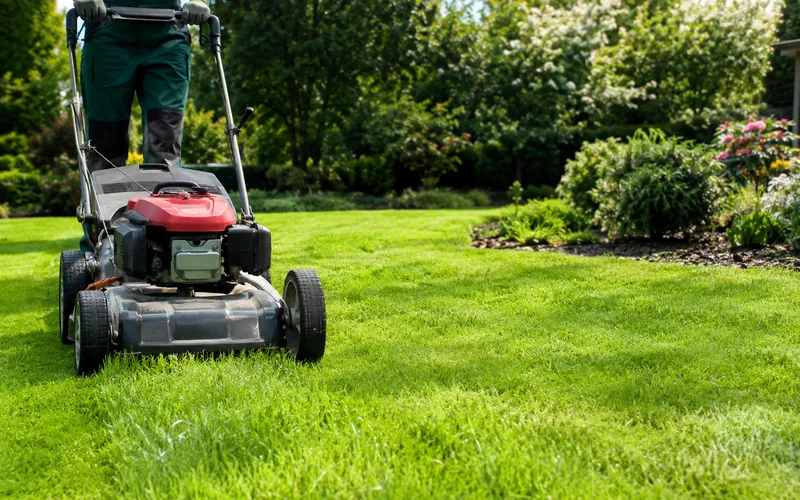 Pelouse en cours de tonte avec une tondeuse à gazon